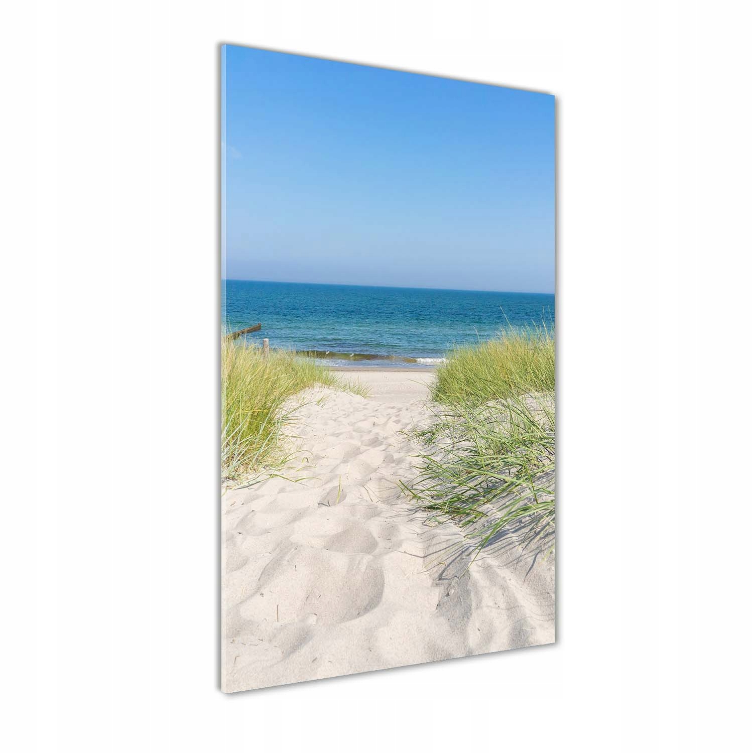 

Foto obraz szkło akrylowe Nadmorskie wydmy 60x120