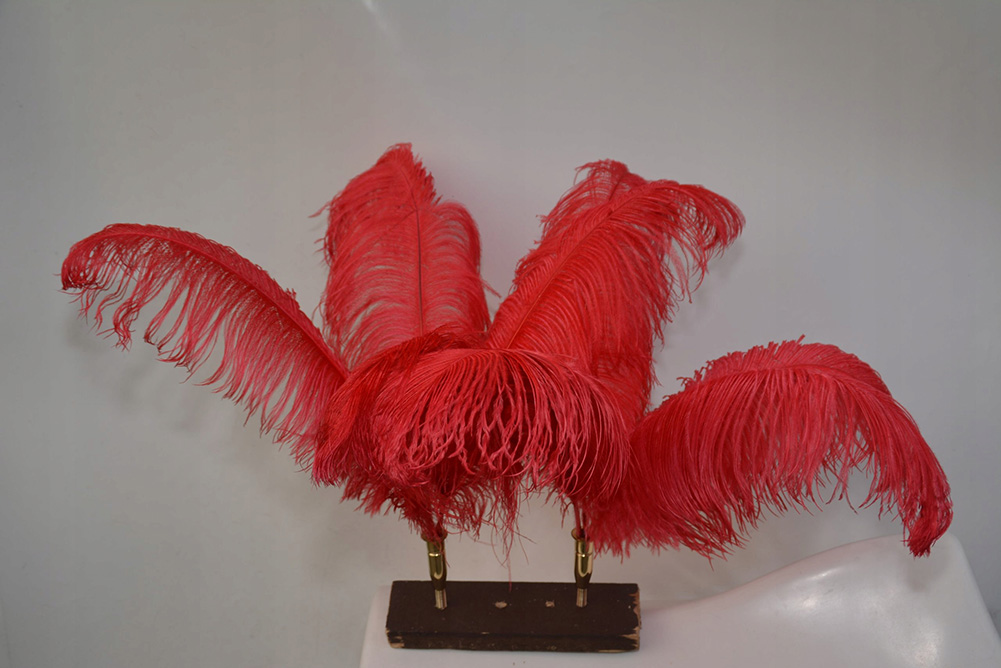 PIÓROPUSZ DO ZAPRZĘGU -STRUSIE PIÓRA Płeć nie dotyczy