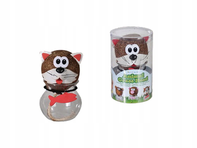 

Główka z trawką Głowa Trawiastogłowy Hoduj Trawę