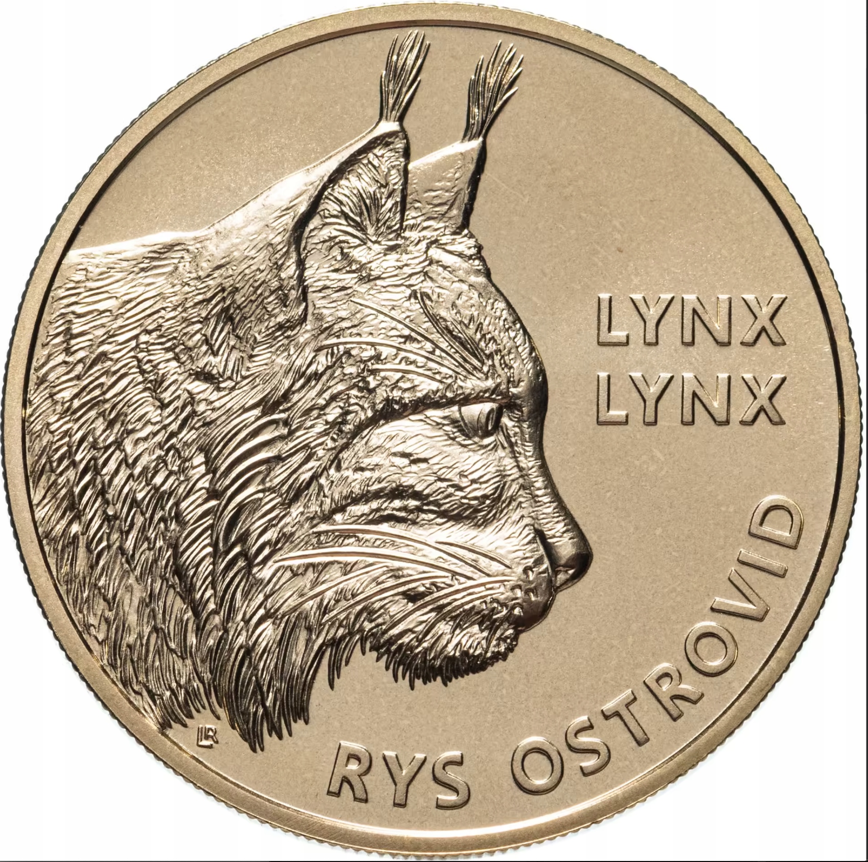 SŁOWACJA 5 EURO 2022 UNC RYŚ