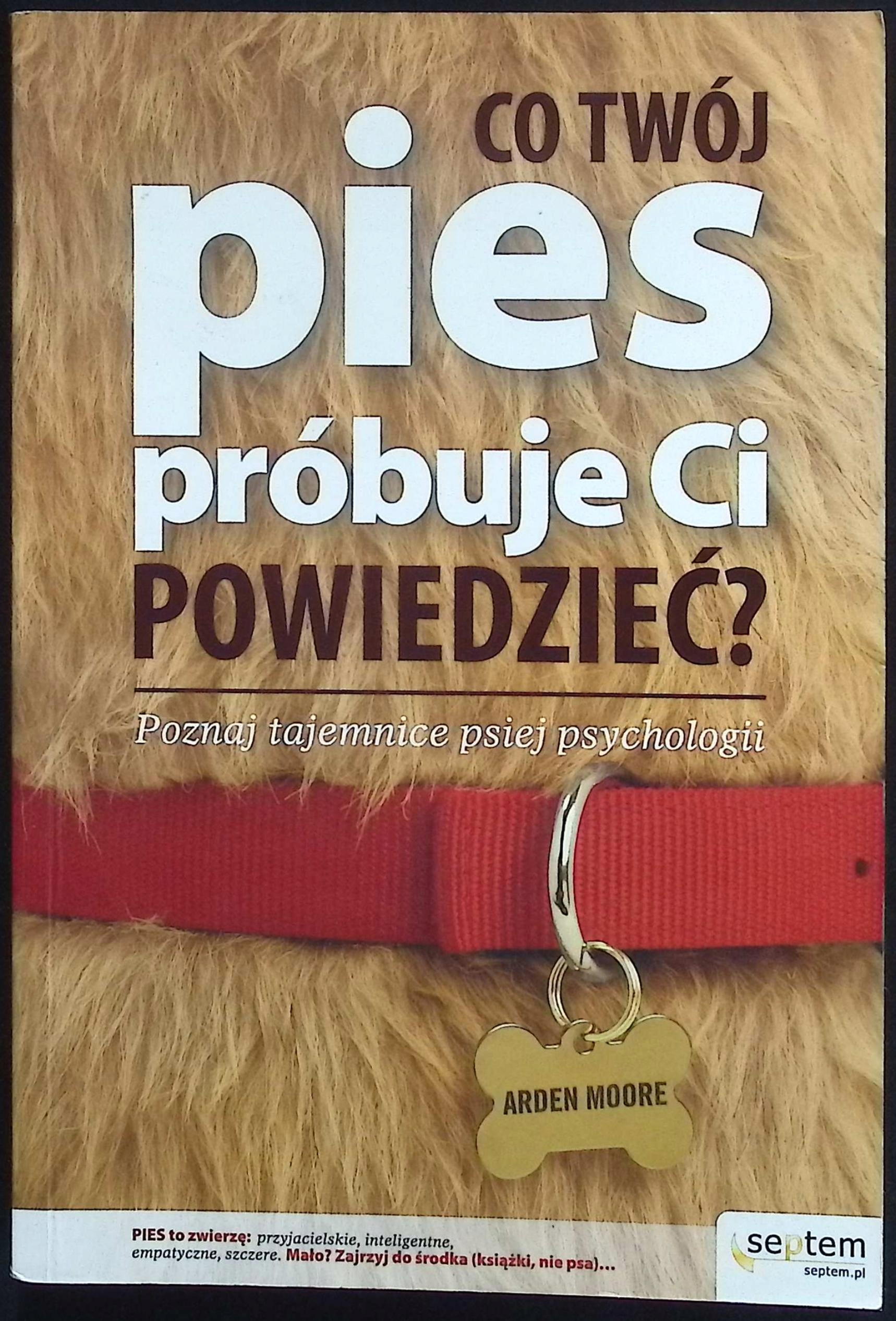 Co Twój pies próbuje Ci powiedzieć Poznaj tajemnice psiej psychologii
