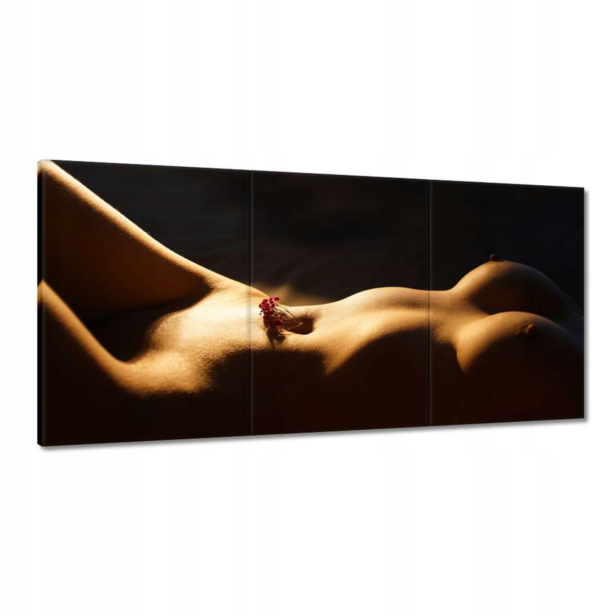 Obrazy 180x90 Dám ti kvetinku Láska