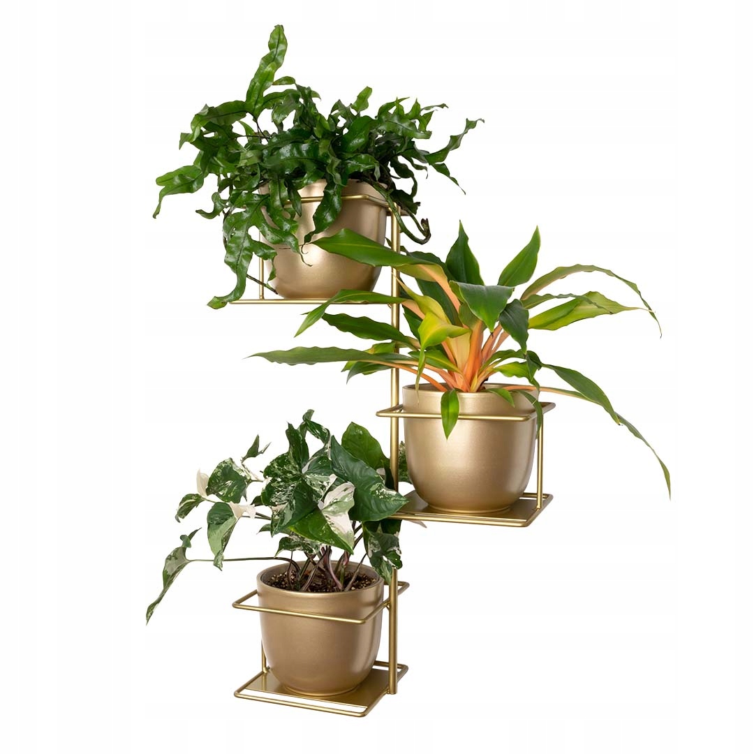 Držiak Na Kvetináč Džungľa 2 nástenný závesný na tri kvety, zlaté kvetinové záhony