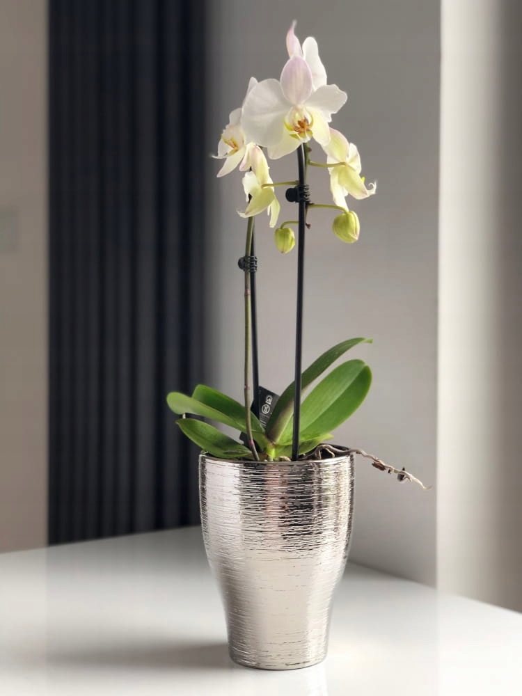 OSŁONKA DONICZKA CERAMICZNA SREBRNA STORCZYK OZDOBA DO KWIATÓW PREZENT Kod producenta 31.120.18