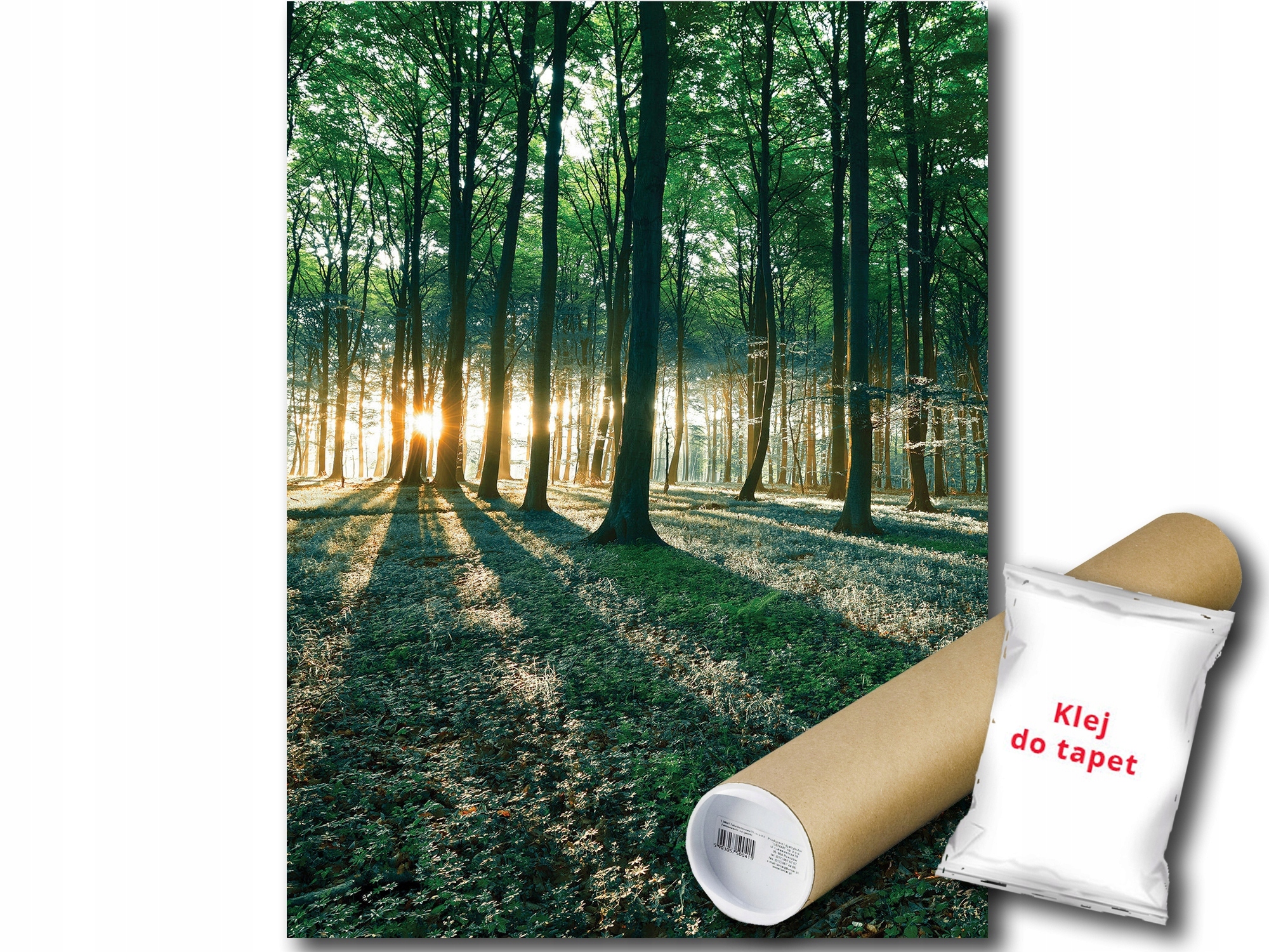 Vinylová Fototapeta Les Stromy Slnko 184x254