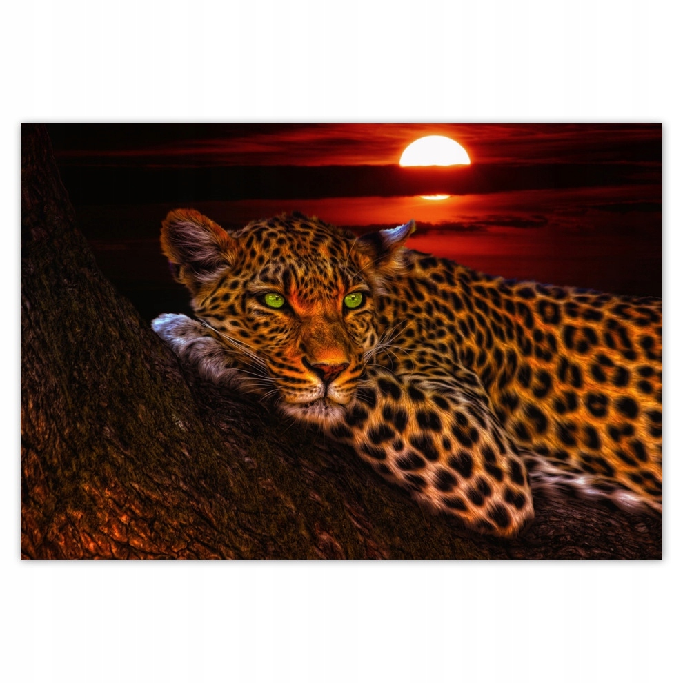 

Fototapety flizelina 152x104 Lampart Pantera