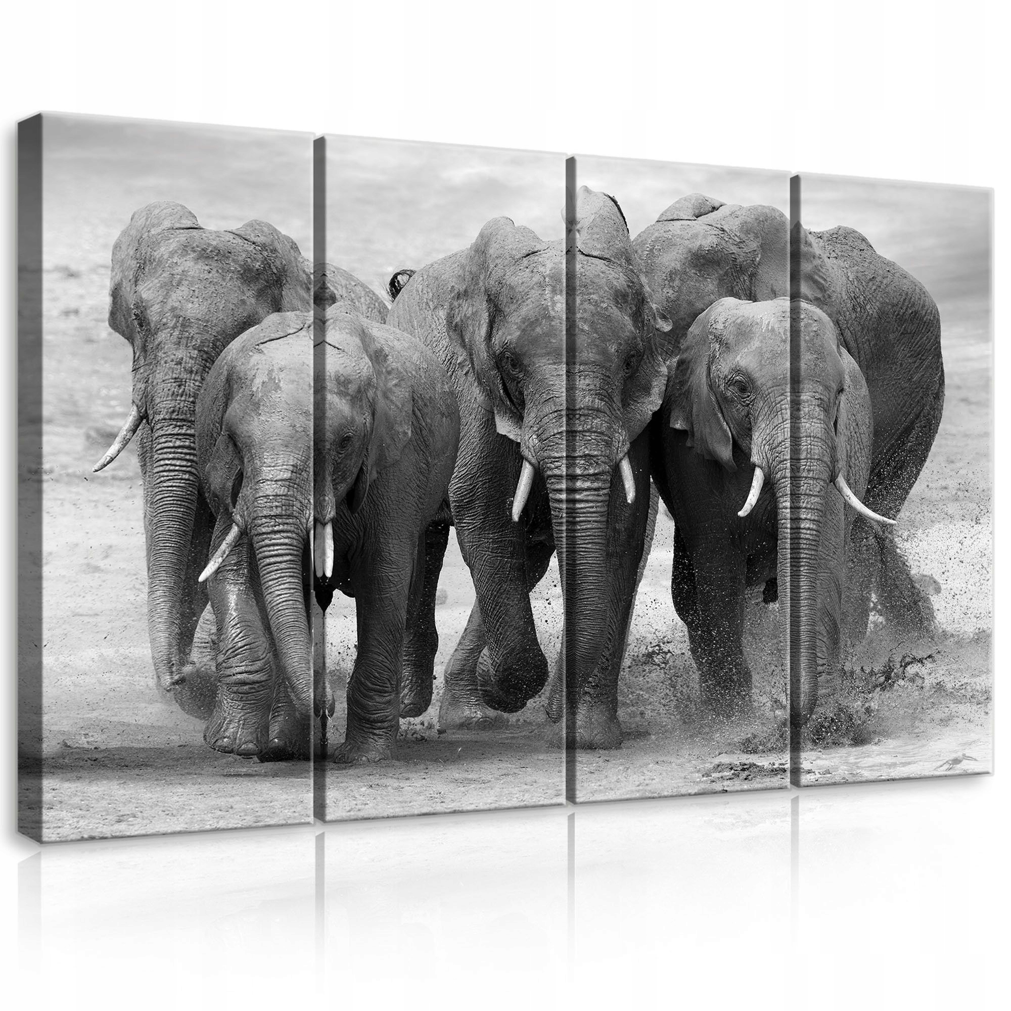 Obraz 120x80 Slony stádo pohyb voda safari Afrika divoká príroda sila