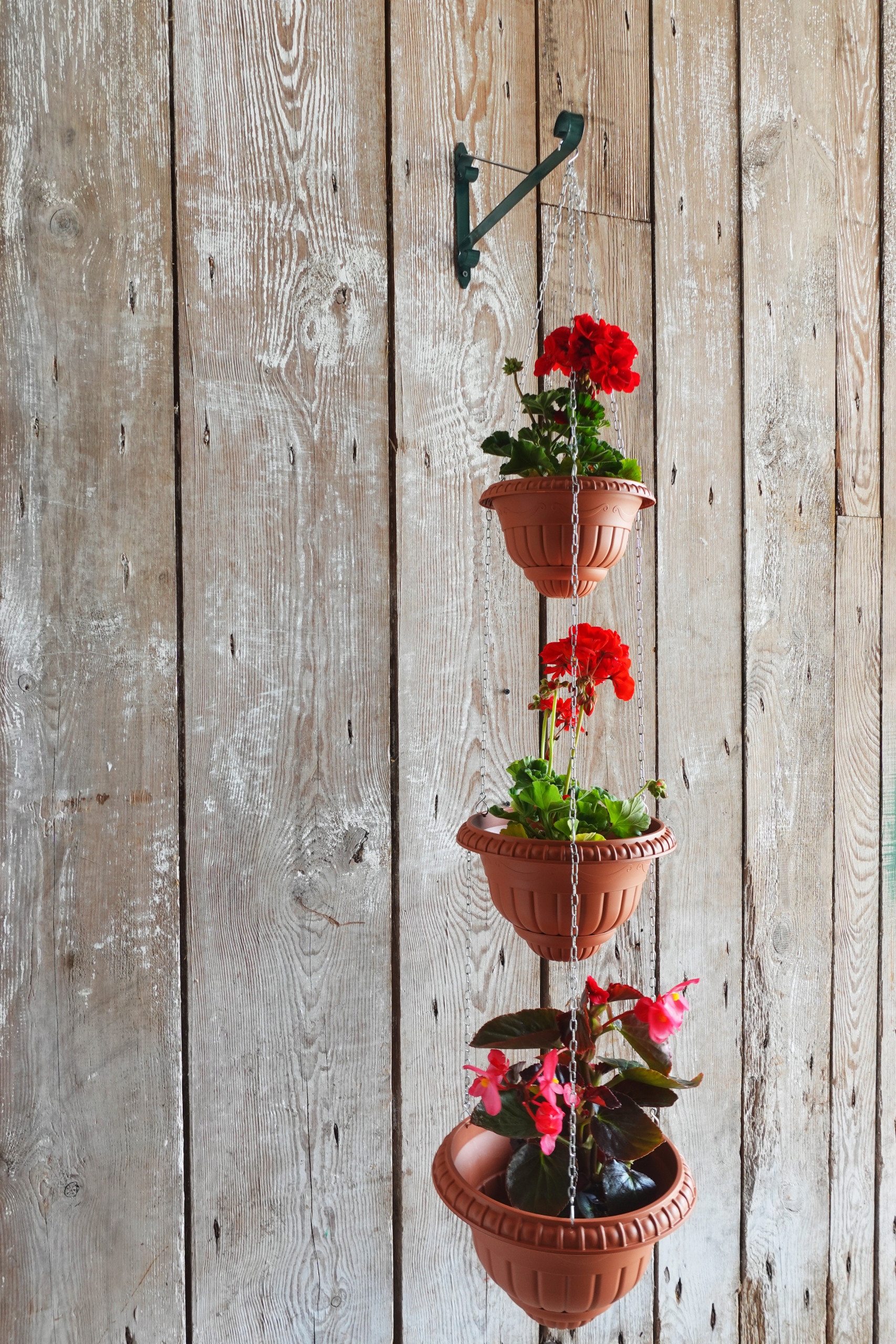 Hak ścienny do doniczki balkonowej WIESZAK NA BALUSTRADĘ zielony UCHWYT EAN (GTIN) 5902288235684