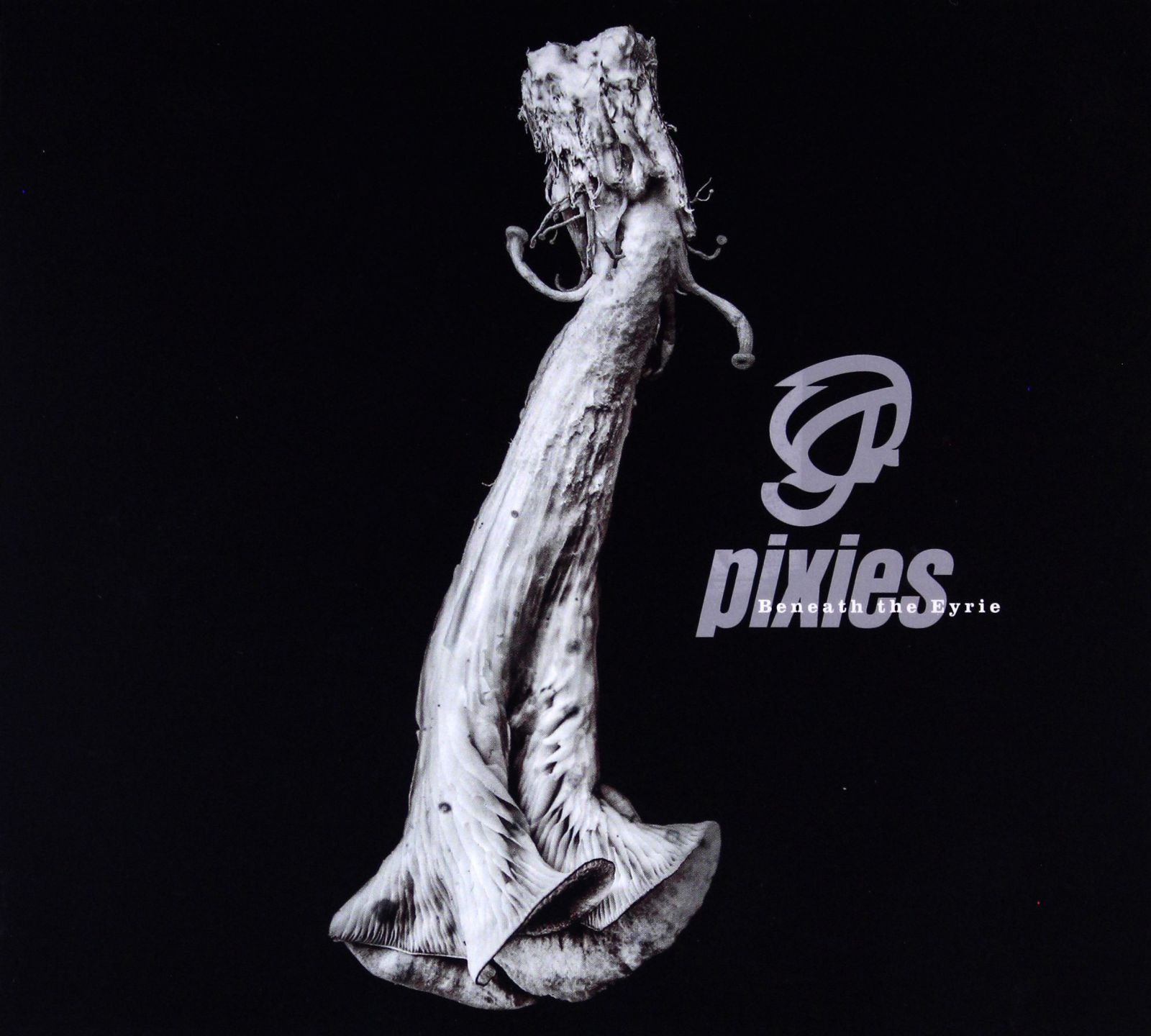 Pixies: Beneath The Eyrie [CD]