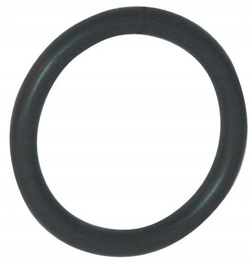 Uszczelka Oring tłoka MixRite 0,3-2% poz. 44