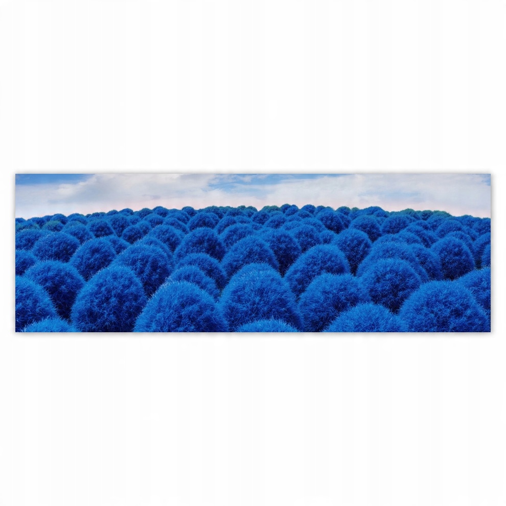 

Fototapety flizelina 312x104 Classic Blue