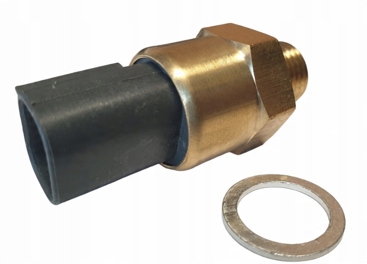 

Bmw E36 Czujnik Temperatury 61318376440