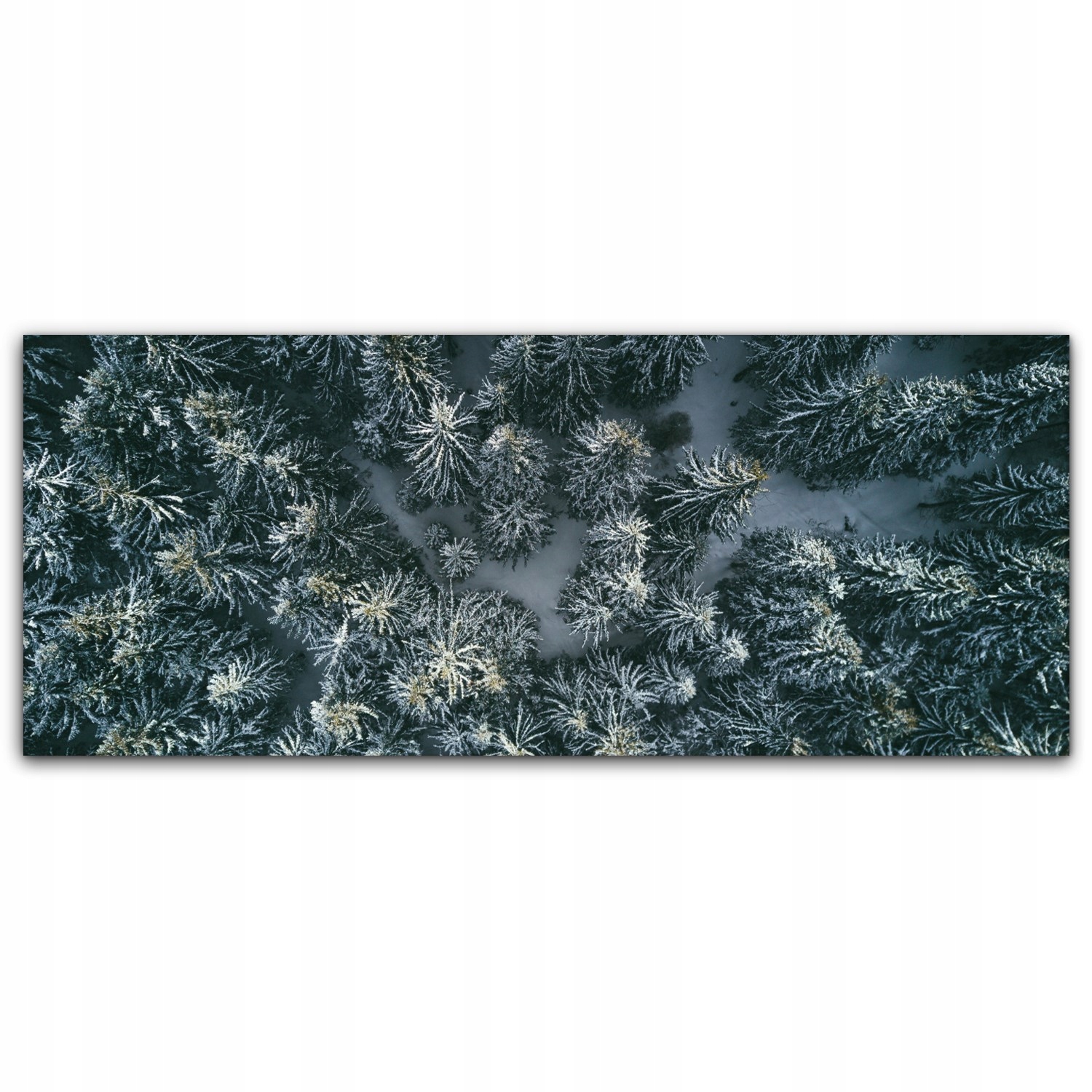 

Obraz na płótnie z foto 125x50 Góry Zima Las Śnieg