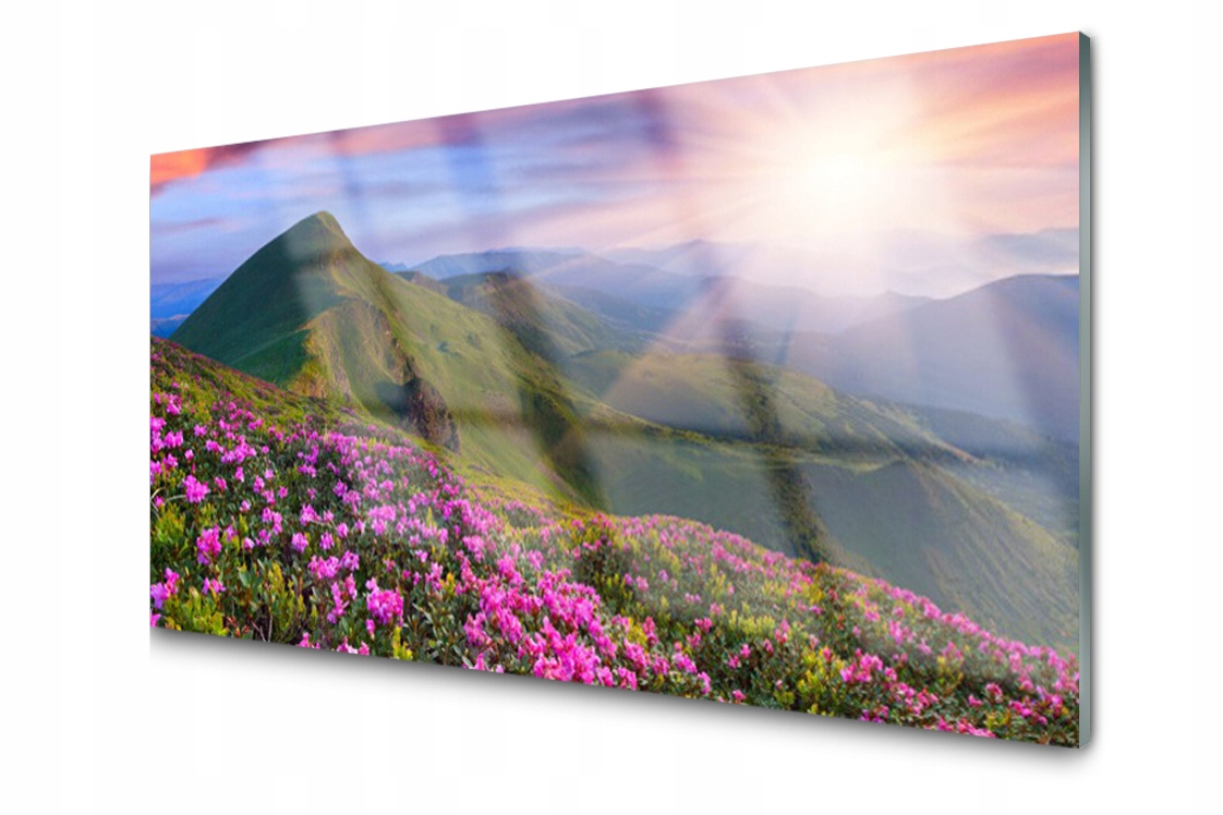 Skleněný obraz Hory Louka Květiny Krajina 100x50