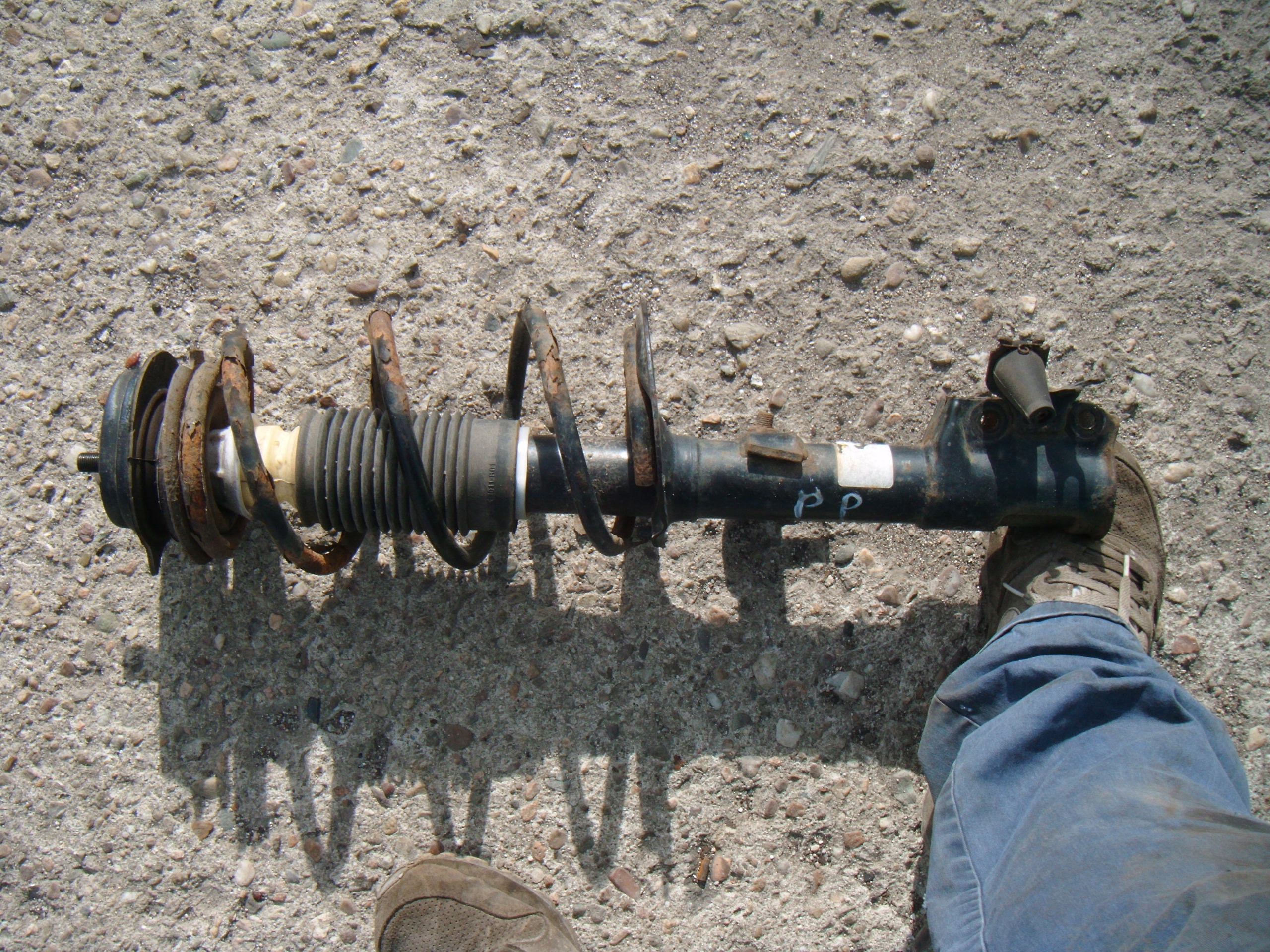 FIAT PANDA II 2 1.1 2003-2012 AMORTYZATOR SPRĘŻYNA PRAWY PRZÓD