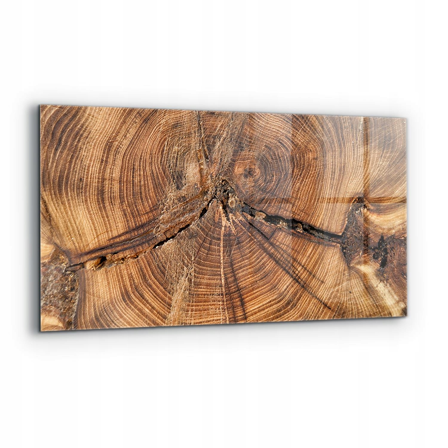 Panel z tvrdeného skla Textúra kmeňa 120 x 60 cm