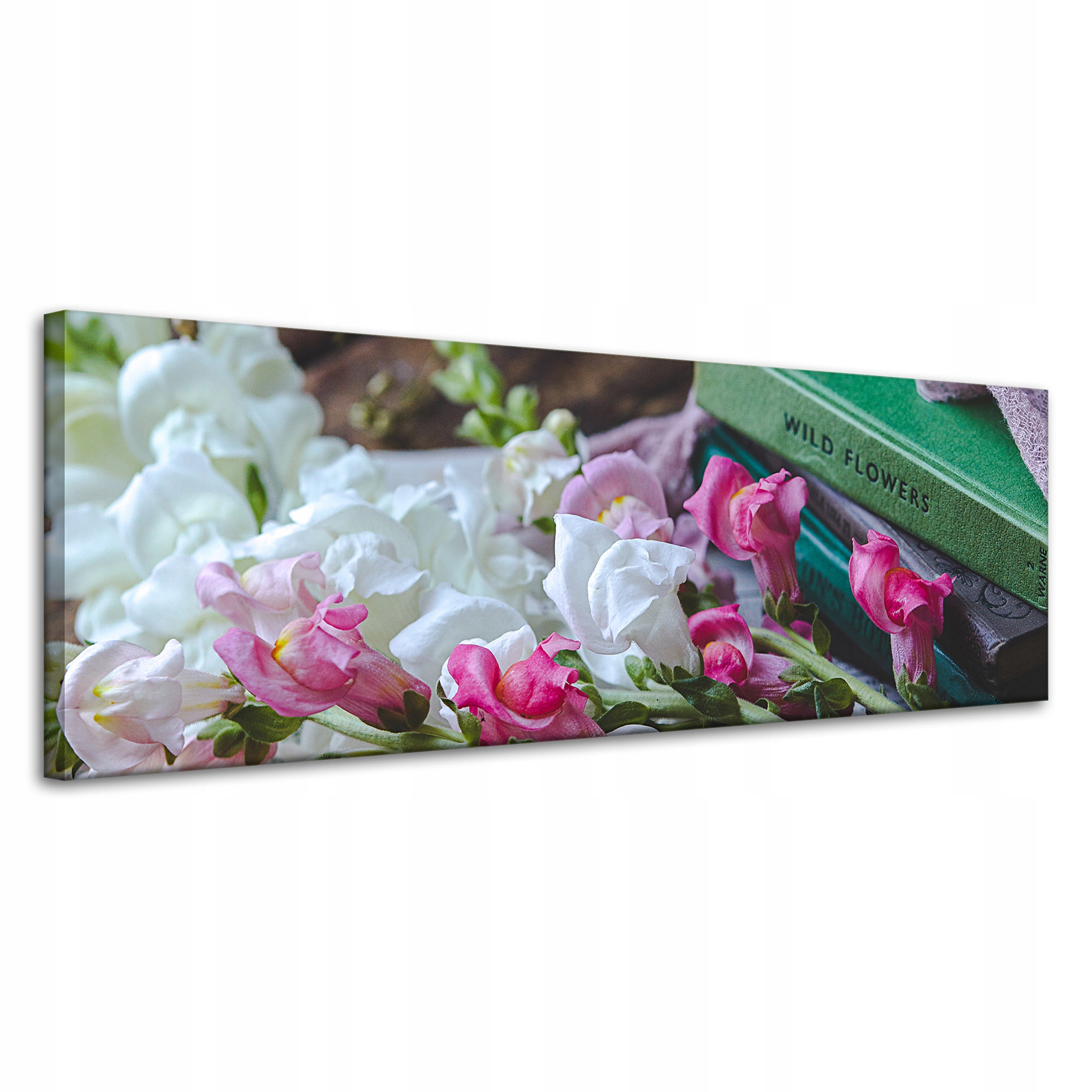 Obrazy na plátně Botanika Lví tlamy 120x40 cm