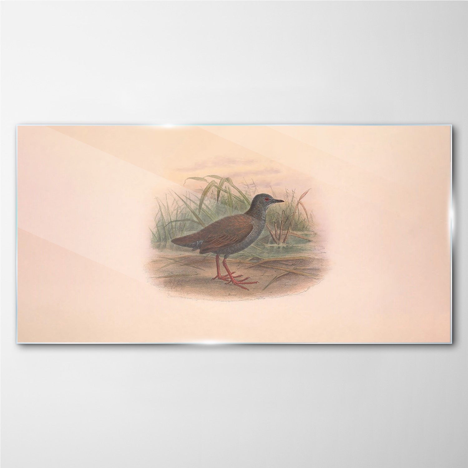 

Foto obraz szklany Ptaki zwierzęta rysunek 100x50