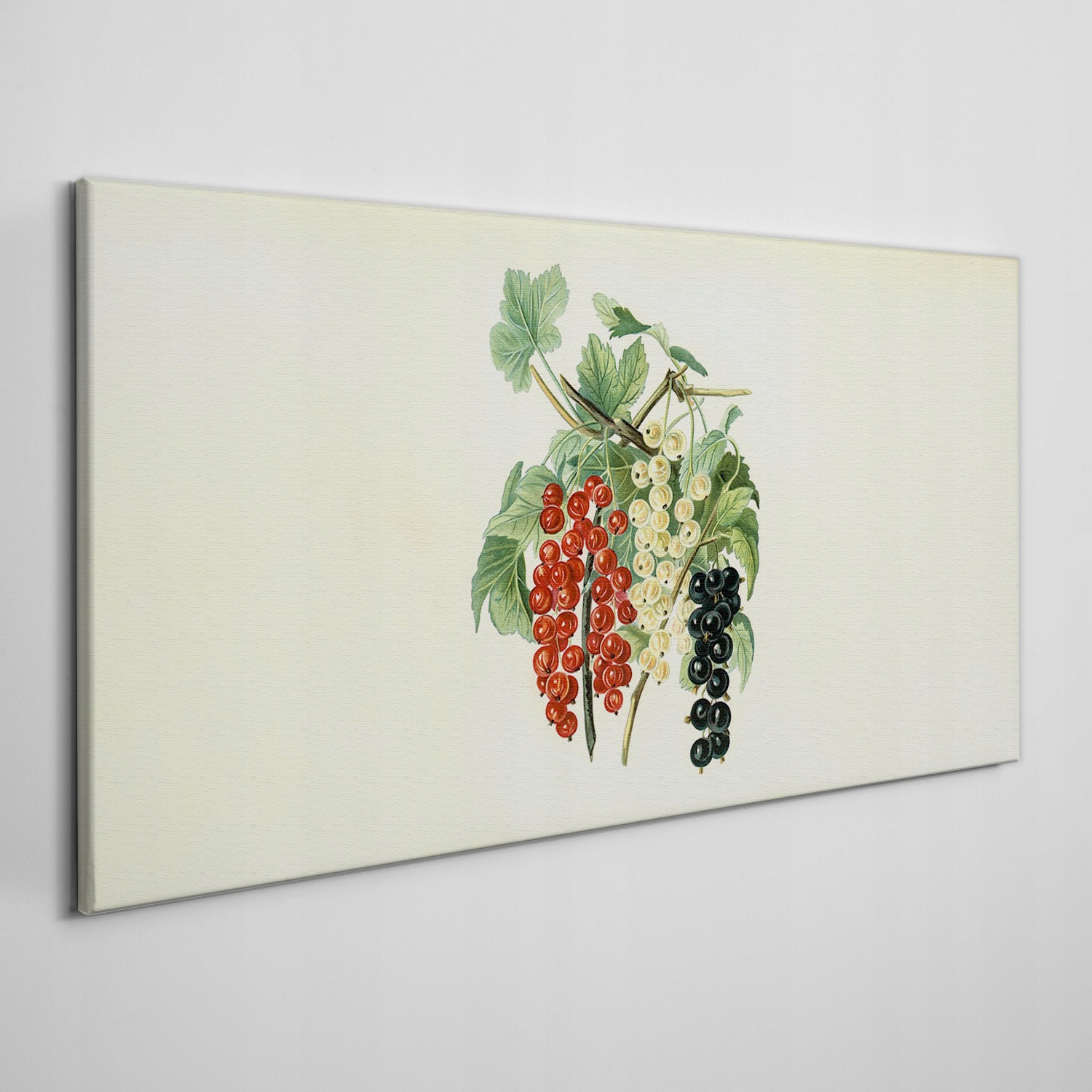 

Obraz na ramie płótno Owoce gałąź liście 120x60 cm