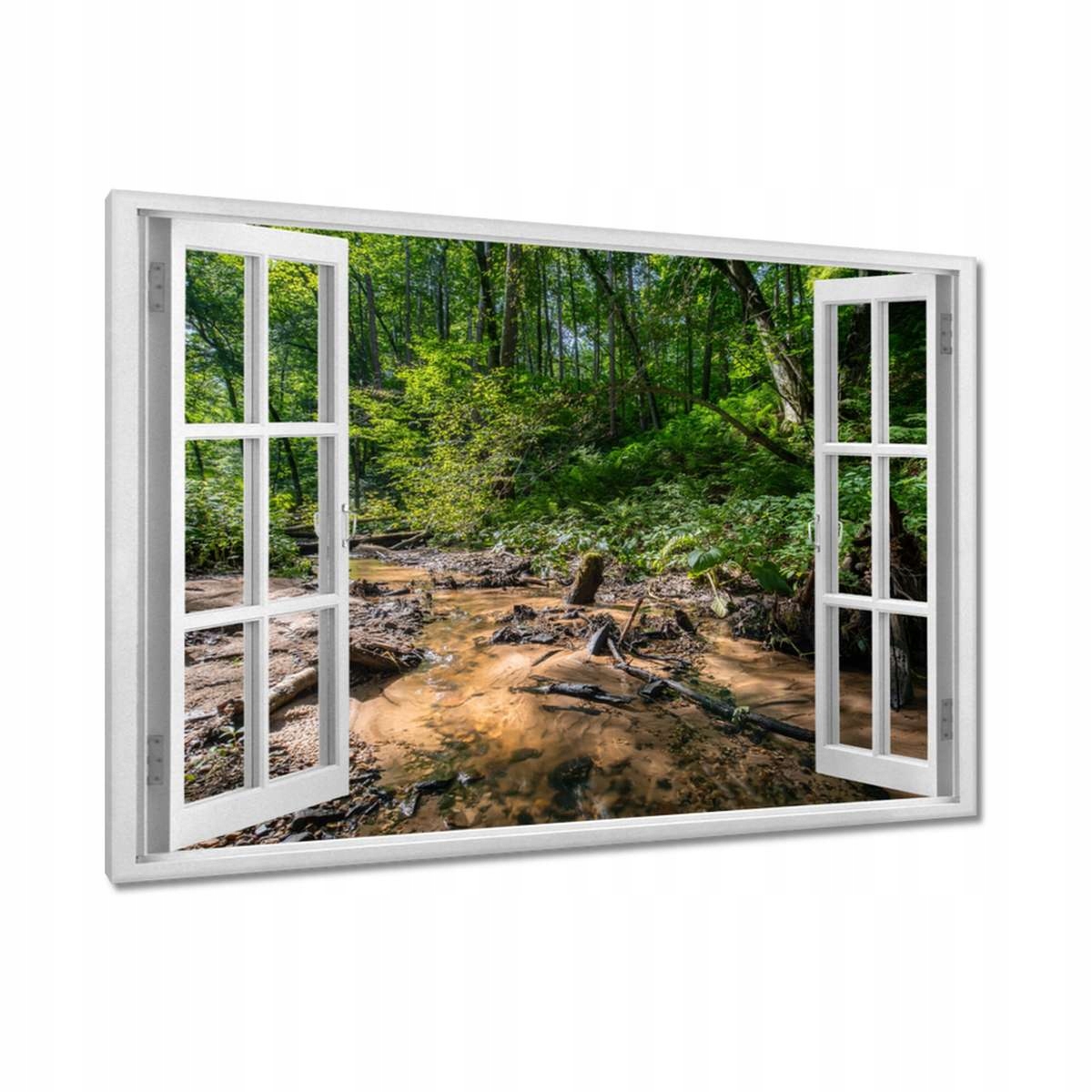 Obrazy 120x80 Řeka Tropický les