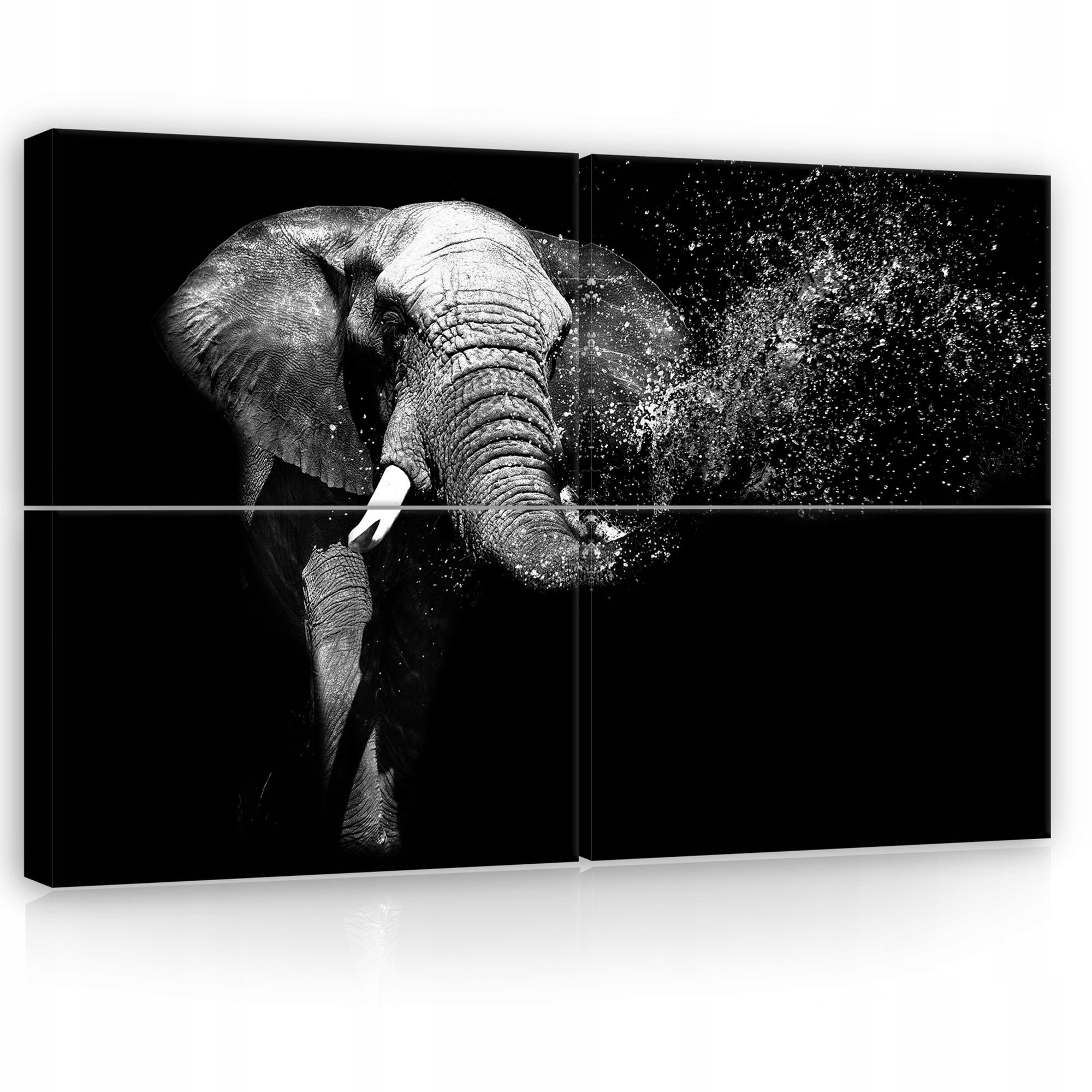 Obraz 120x80 Modulární slon polyptych černobílý příroda zvíře síla