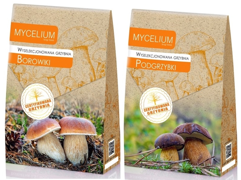 Levně Podhoubí Borowiki Podgrzybki sada 2 kusů