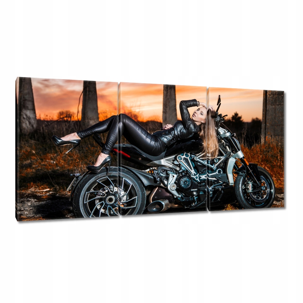 

Obrazy 120x60 Ducati motor Motocykl