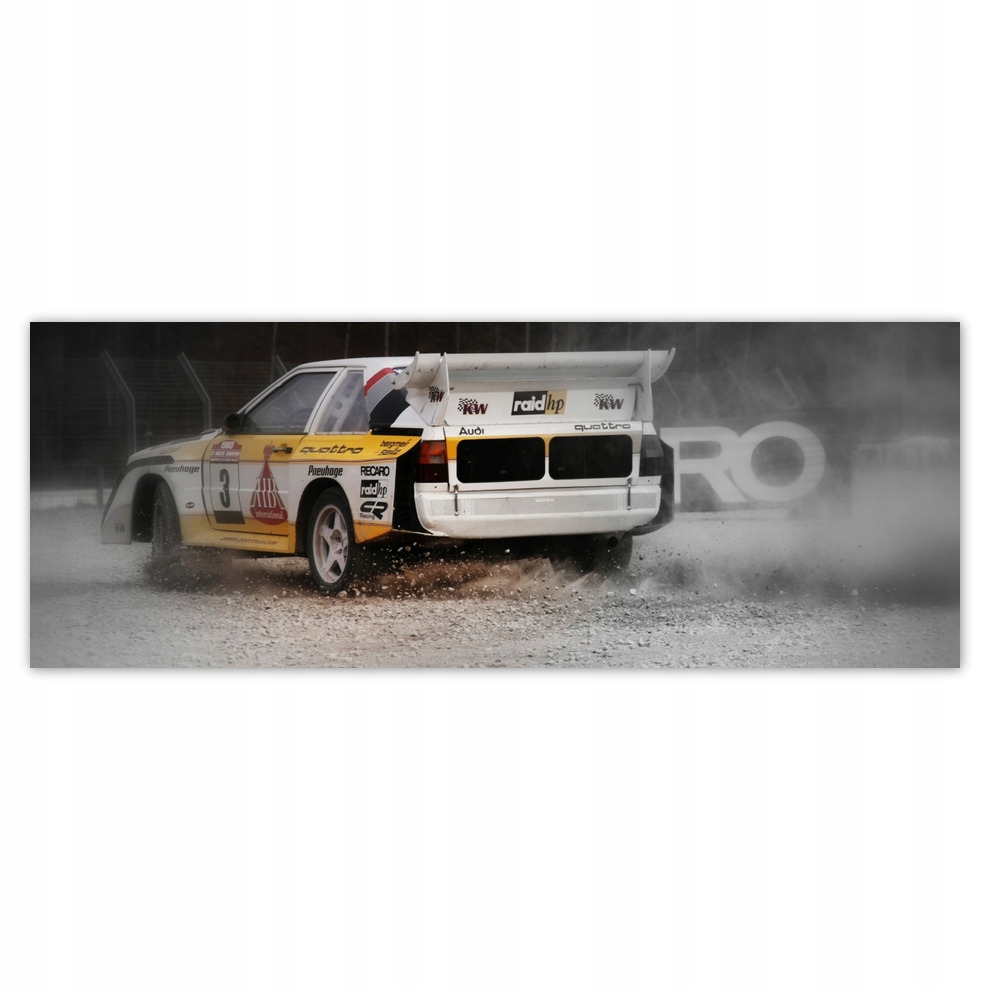 

Fototapety flizelina 250x93 Audi Quattro Kurz