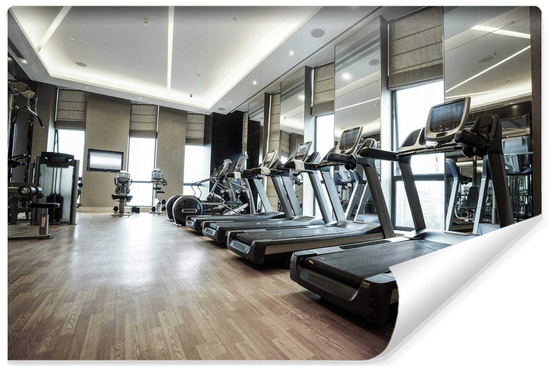Fototapeta Posilovna Klub Fitness Dekor 3D 368x254