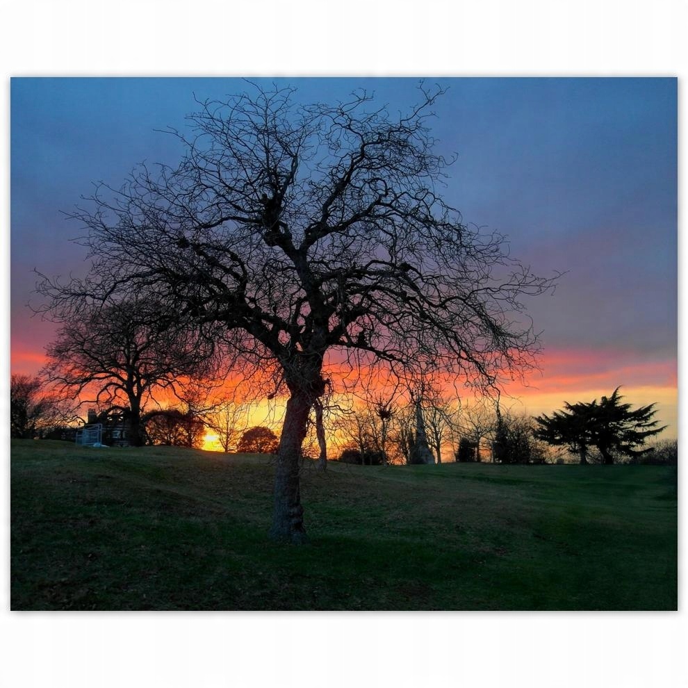 

Plakat 50x40 Zachód słońca