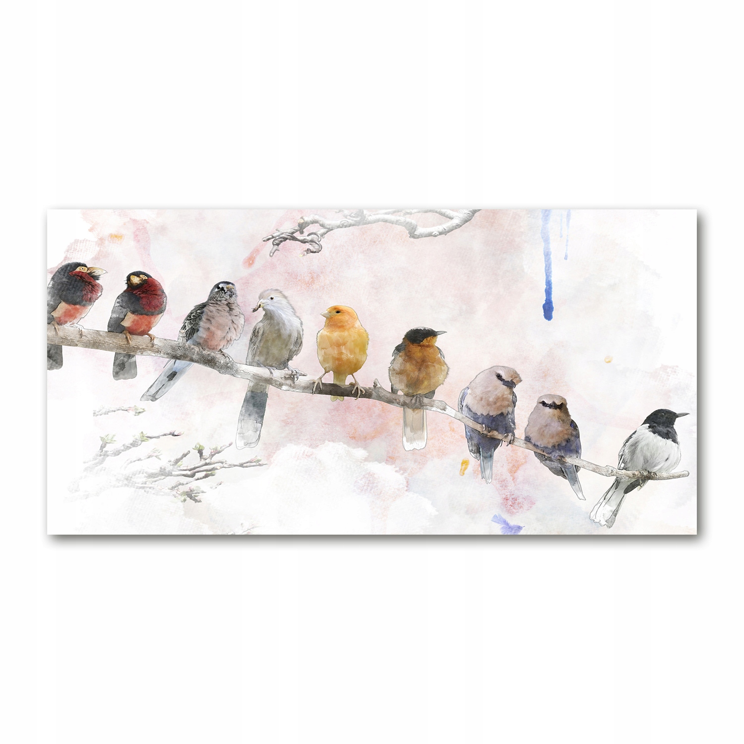 

Foto obraz akryl zdjęcie Ptaki na gałęzi 120X60 cm
