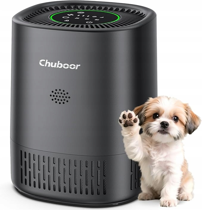 Oczyszczacz powietrza dla alergików Chuboor PJ07