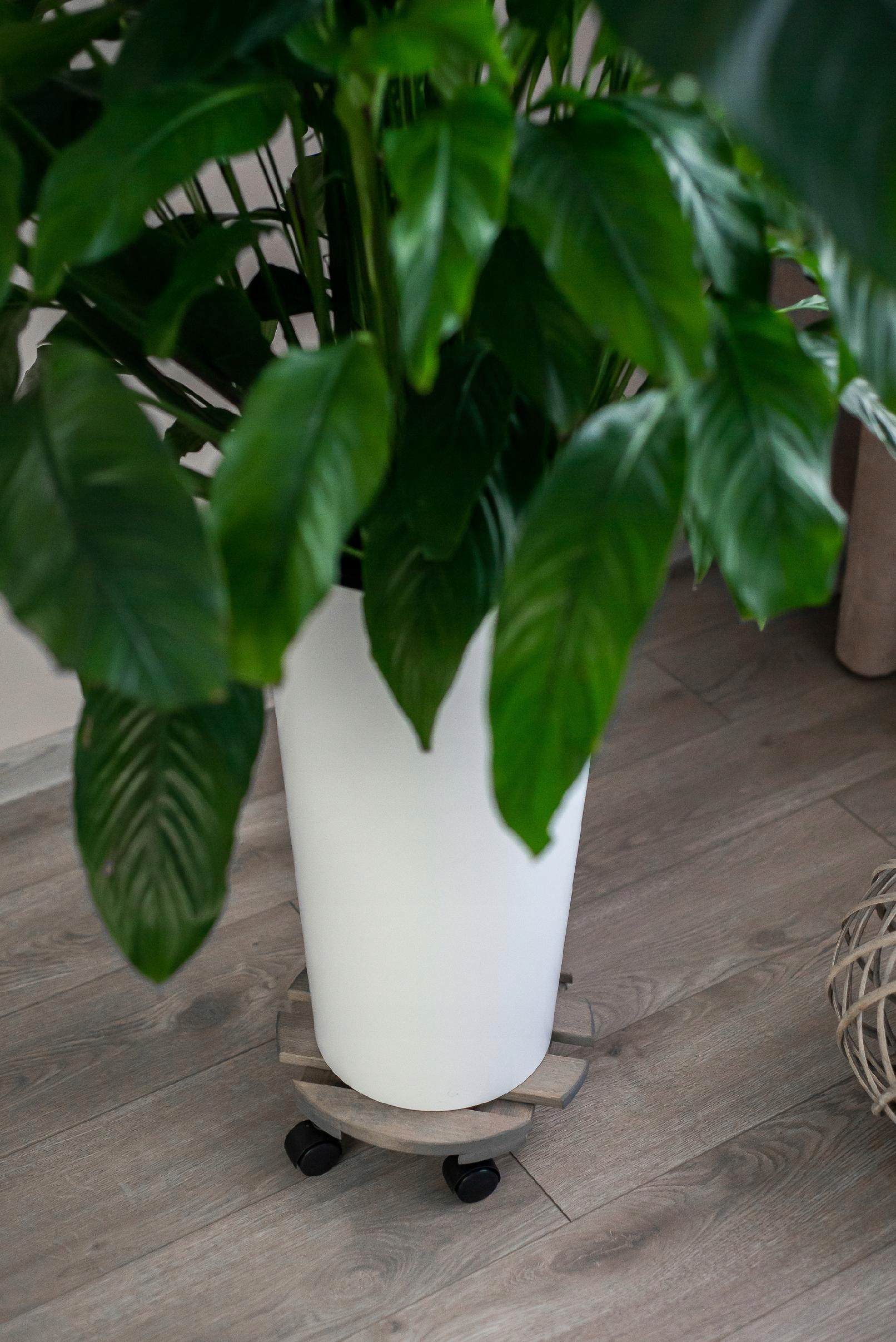 PODEST PODSTAWKA DREWNIANA POD KWIATEK DONICĘ DONICZKĘ NA KÓŁKACH SOLIDNA Szerokość produktu 30 cm