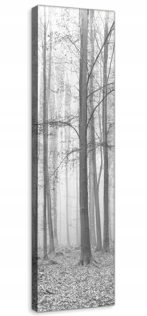 Obraz Na Plátně Canvas 45x145 Les Podzim Šedá