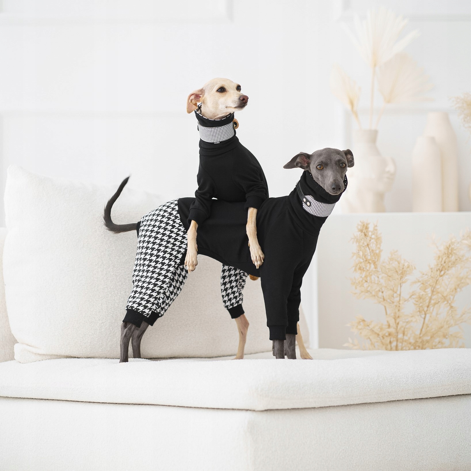 Levně Oblečení pro italského chrtíka Dresový oblek