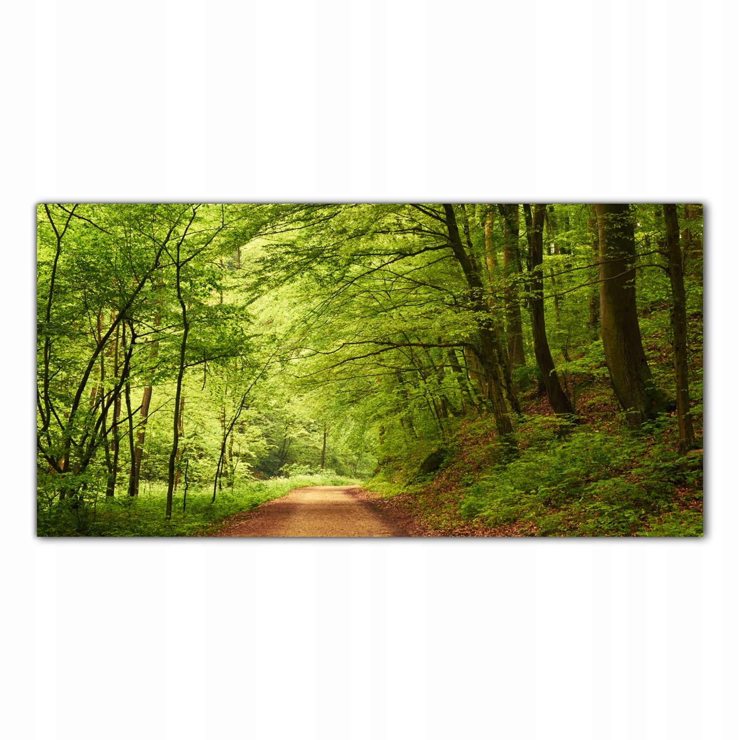 Cesta Les Stromy 120x60 Tvrzené sklo do kuchyně