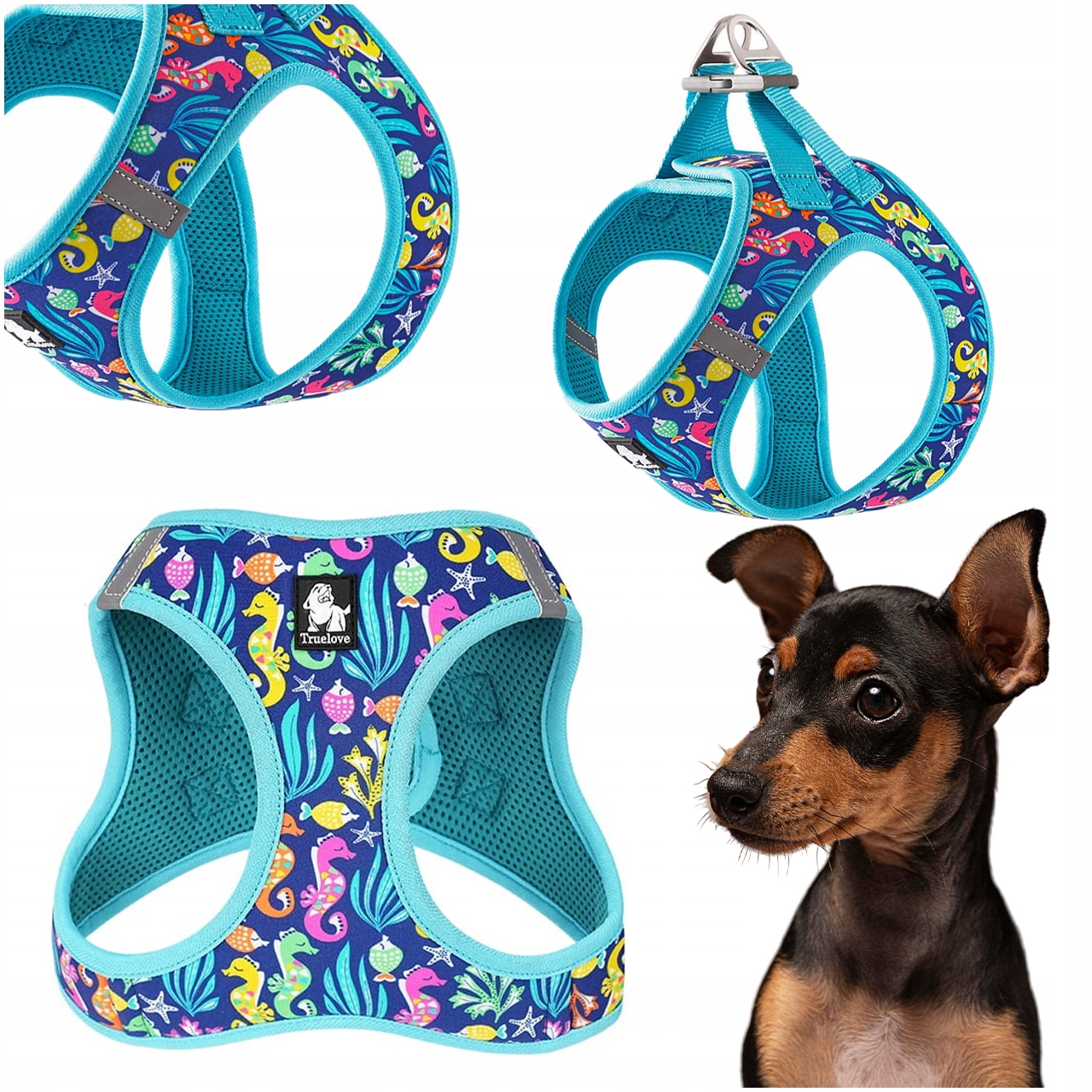 Szelki Dla Małego Psa Step-in Regulowane Truelove Mini Atoll Niebieskie Xs