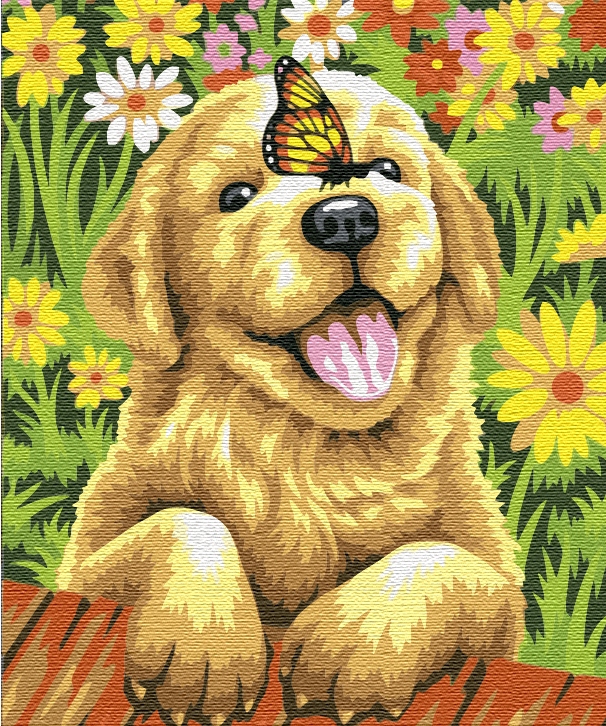 Malování podle čísel Paint it! štěně 40x50 cm