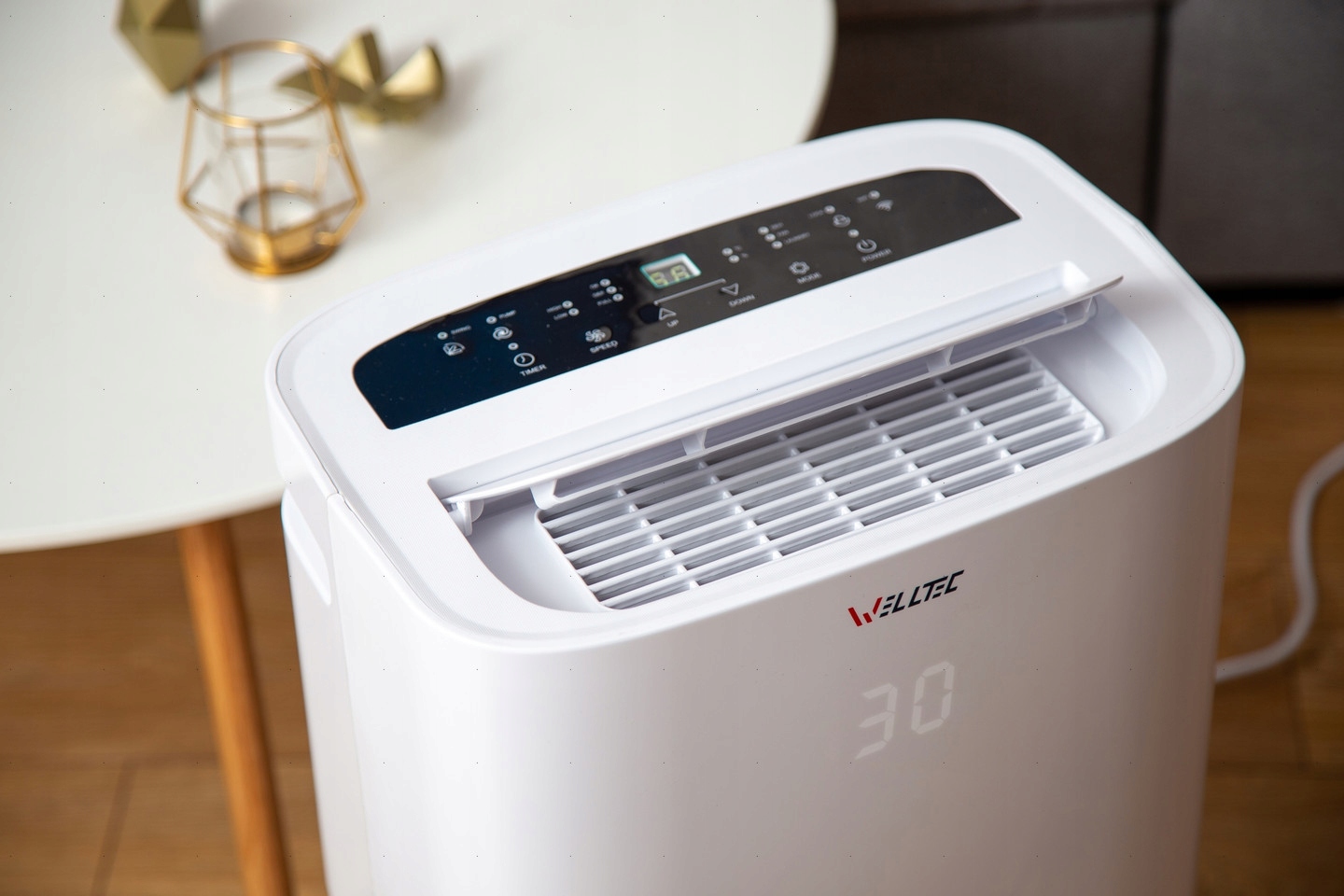 OSUSZACZ POWIETRZA WELLTEC DHN30 3w1 do 60m² 30l/24h WiFi HEPA H13 POMPKA Model DHN30