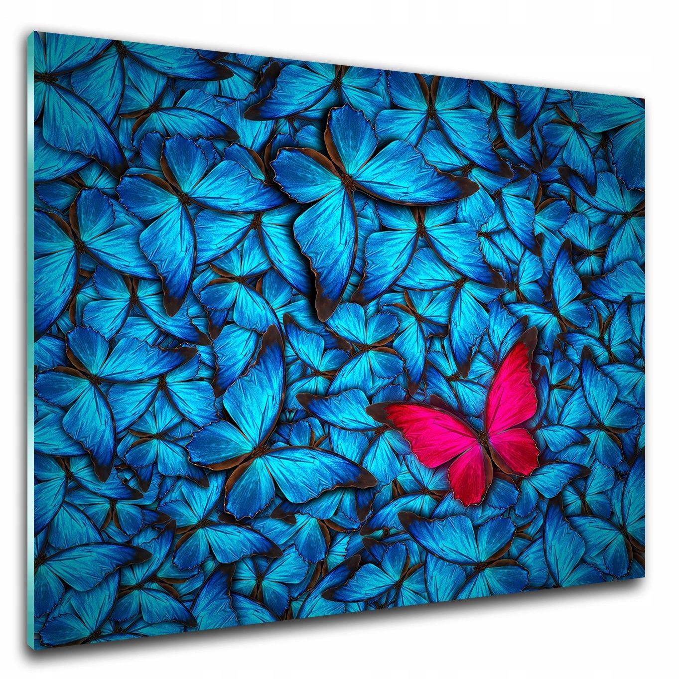 

Foto obraz na szkle ścienny Różowy motyl 80x60