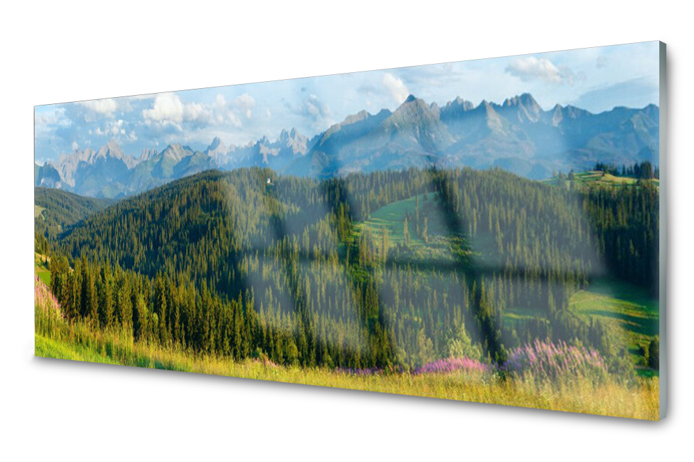 

Panel szklany do kuchni Góra Las Przyroda 125x50