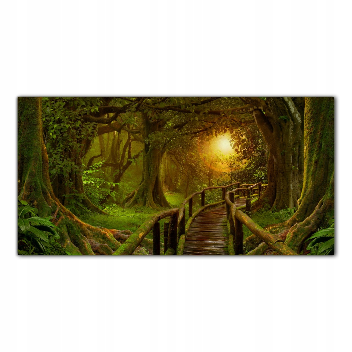 

Obraz na szkle Foto Tropiki Dżungla Natura 120x60
