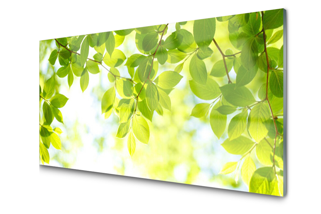 

Panel szklany dekor Liście Roślina 140x70 + Klej