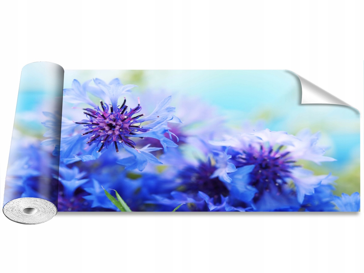 

Tapeta Samoprzylepna Niebieskie chabry 250x104