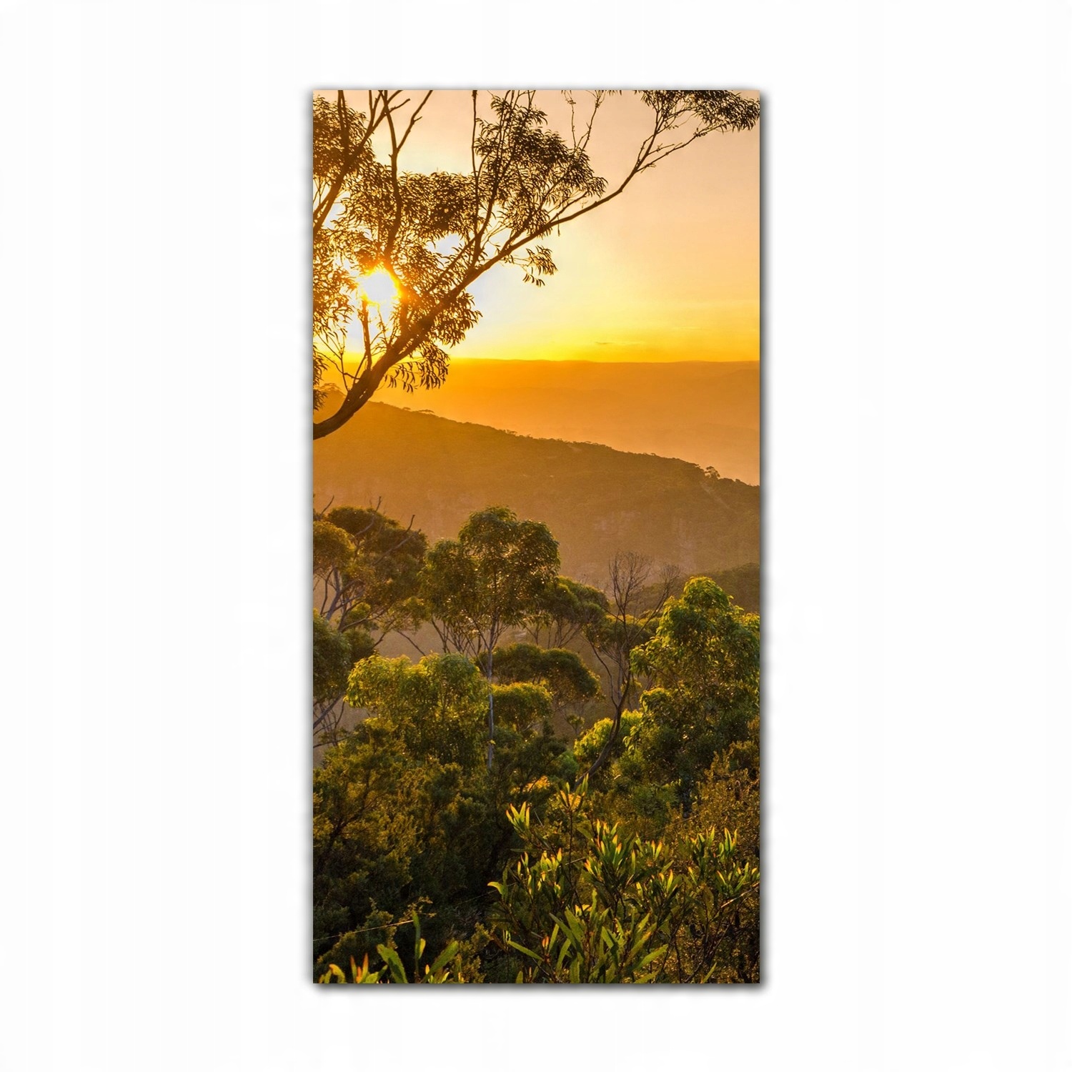 

Foto na szkle na ścianę 60x120 Australijskie góry