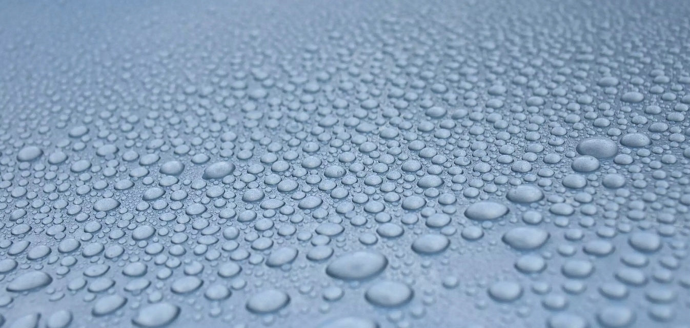 CarPro BugOut – środek do skutecznego i bezpiecznego usuwania owadów 500ml Numer katalogowy producenta CPBUG05