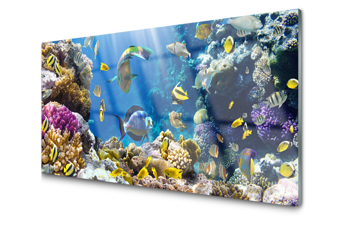 

Panel szklany dekor Rafa Koralowa 100x50