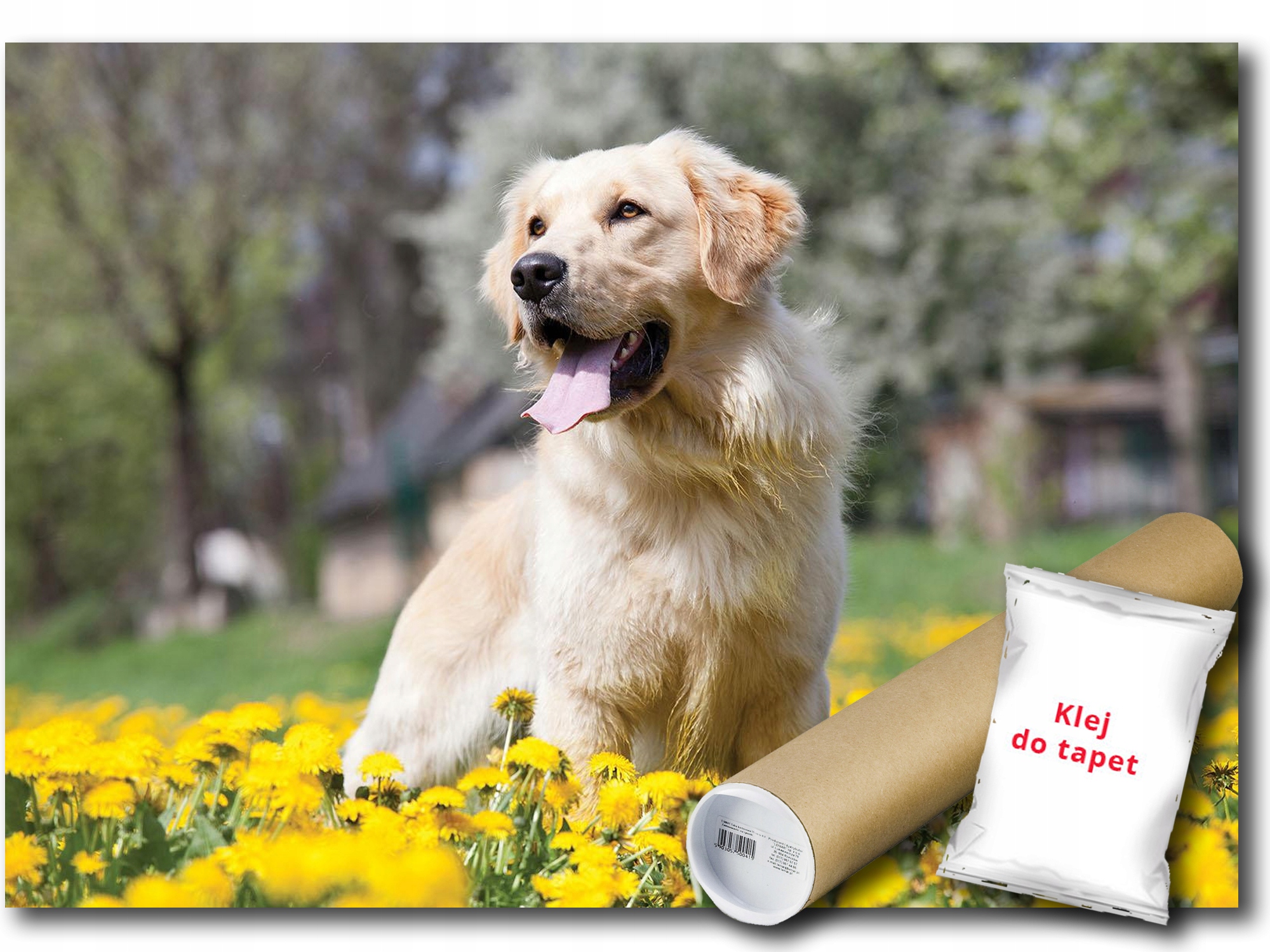 Vinylová Fototapeta Pes Zlaté Kvety 312x219