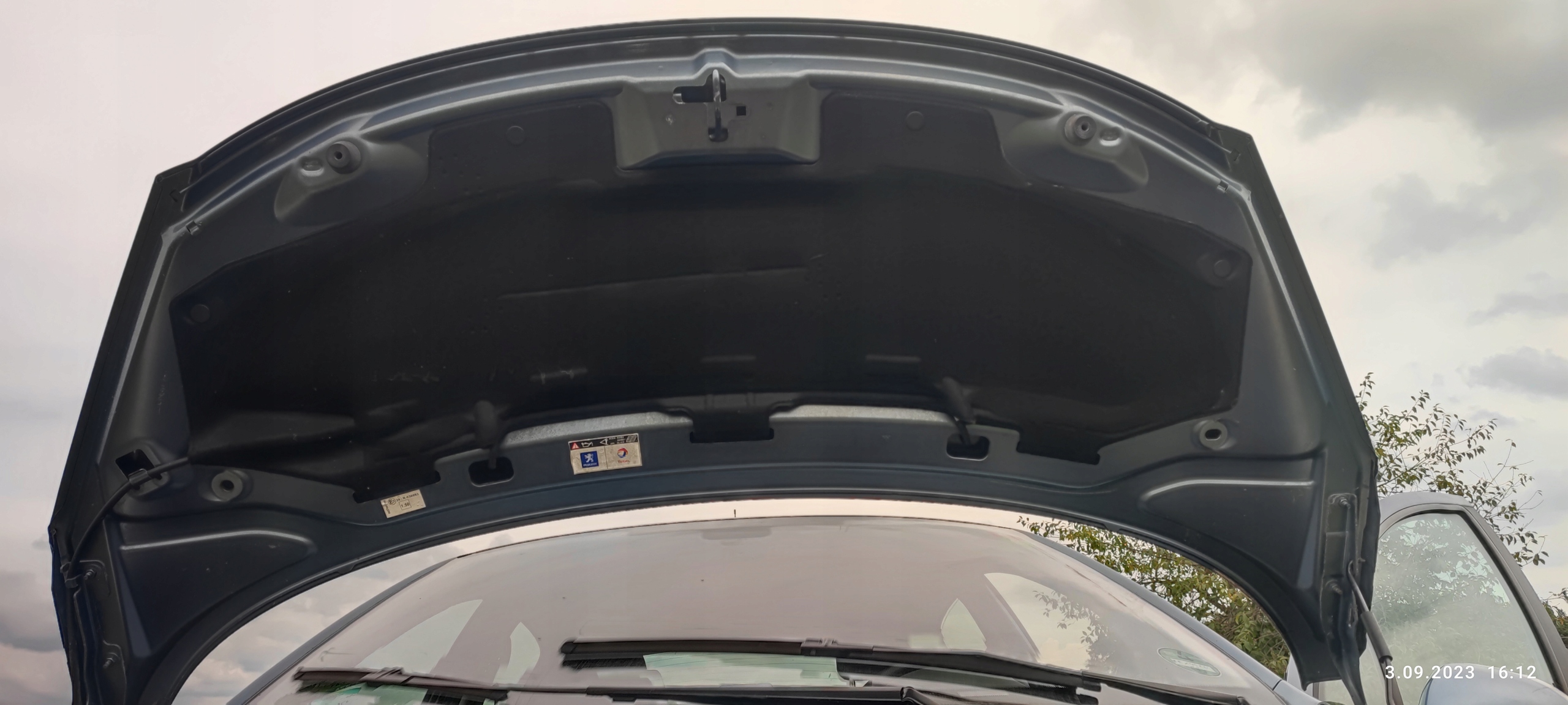 PEUGEOT 207 Cofano EZW LADNA