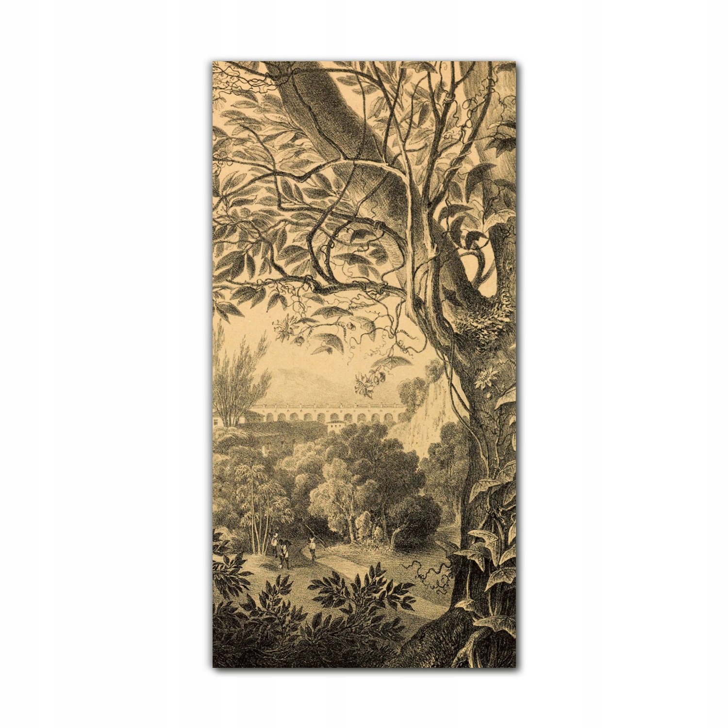 

Foto-obraz ścienny grafika 70x140 Dżungla amazonia